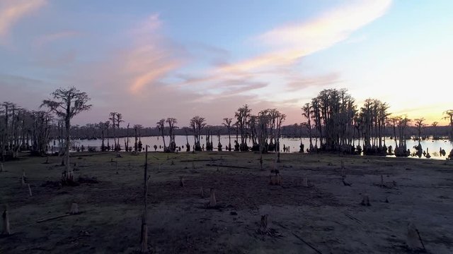 An aerial footage over a dry bank among the cypress trees with hanging moss flying towards a gorgeous blue and pink sky as the backdrop.