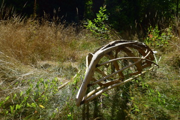 Skelett eines Paddelbootes in hohem Gras im Hochsommer
