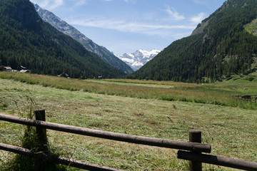 Fototapeta na wymiar View to the Alpine landscape.