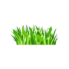 Flat vector icon of bright green fresh grass. Natural border. Decorative element for forest or garden landscape. Nature and flora theme