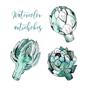 A set of three artichokes, in a watercolor style.