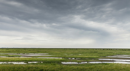Fototapeta na wymiar Island of Marken - The Netherlands