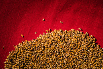 Beer Barley Malted Caramel Grains Macro Texture