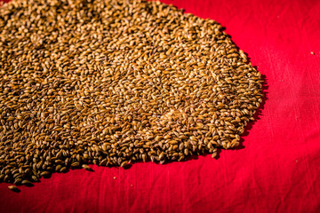 Beer Barley Malted Caramel Grains Macro Texture