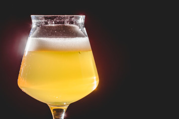 Wood Barrel Aged Lambic Beer in Teku Glass.