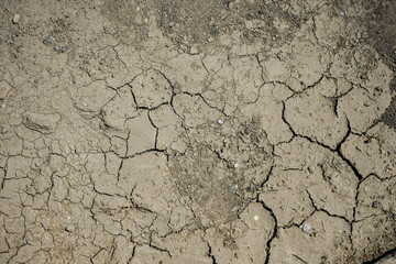 dry brown earth close up view in summer, lack of rain