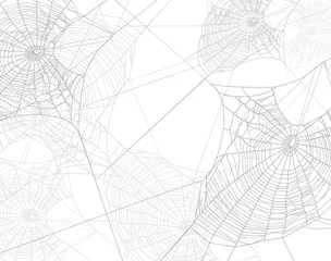 Fototapeten spooky spider web silhouette design - black and white halloween theme vector background © Cattallina