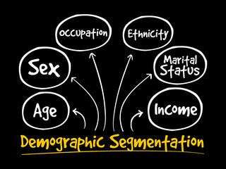 Demographic segmentation mind map flowchart social concept for presentations and reports