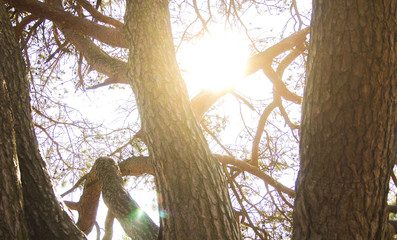 Dream Catcher and blanket outdoor