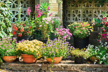 Beautiful backyard garden full of colorful flowers in pots and containers with the stone wall on...