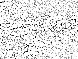 The cracks texture white and black. Vector background.Cracked earth. Structure of cracking. Cracks in dry surface soil texture. - obrazy, fototapety, plakaty