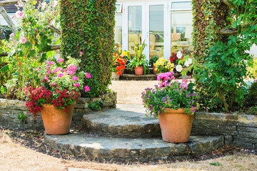 Fototapeta na wymiar Beautiful backyard garden full of colorful flowers in pots and containers, selective focus