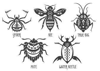 Vector illustrations of spider, bee, true bug, mite, water beetle decorated with patterns.