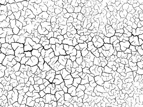 The cracks texture white and black. Vector background.Cracked earth. Structure of cracking. Cracks in dry surface soil texture.