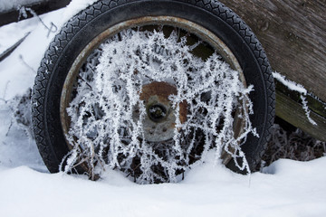 Beautiful winter landscape