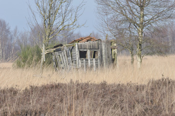 Ein zerfallenes, kleines und altes Holzhaus im Moor, zusammenbruchnahe, burnout