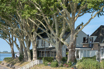 Old houses on the river Lek with old trees in front. Schoonhoven, the Netherlands, Europe.