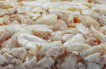 folia ( Egyptian sweet )