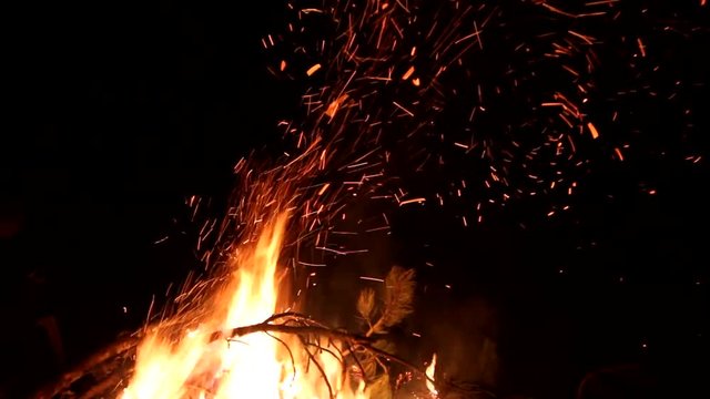 Night, campfire in nature 
