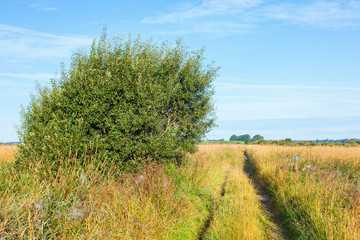Fototapeta premium Dirt road