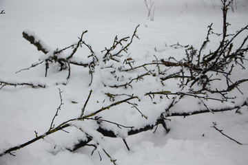 Fototapeta na wymiar Beautiful winter landscape scene with scene with snow covered trees.