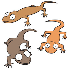vector set of lizards