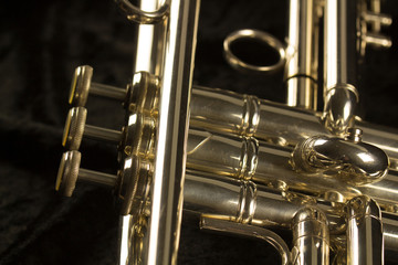 Obraz na płótnie Canvas Goldene Trompete