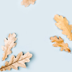 Autumn composition. Pattern made of autumn  leaves. Flat lay, top view, copy space