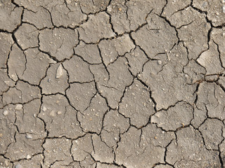 Cracks in the dried soil in arid season as a texture