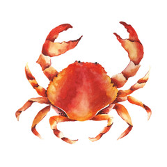 Watercolor sea clipart