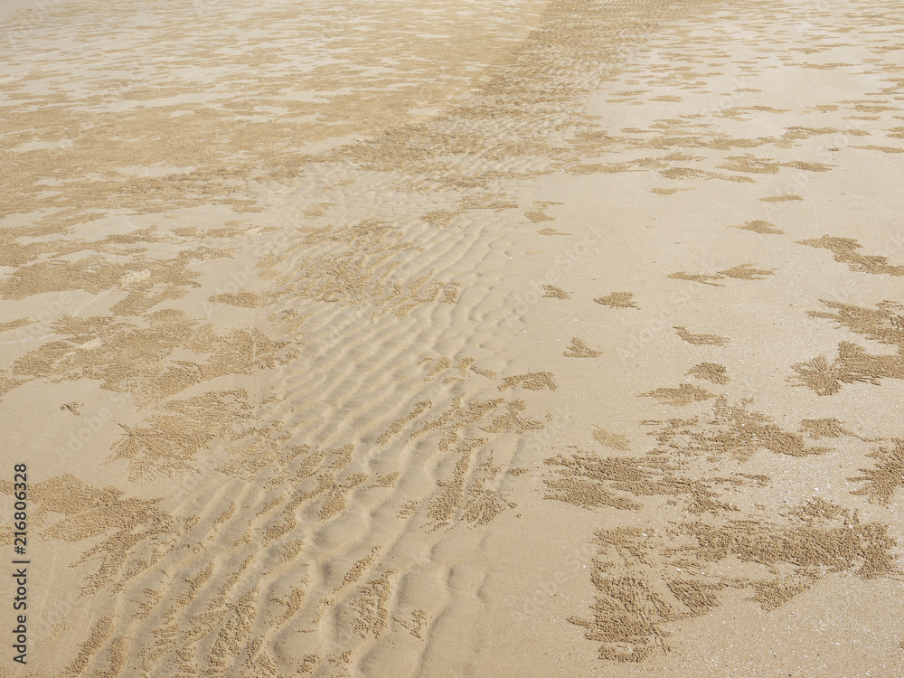 Poster Sand Texture. Brown sand. Background from fine sand. Sand background