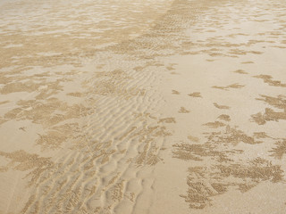 Sand Texture. Brown sand. Background from fine sand. Sand background