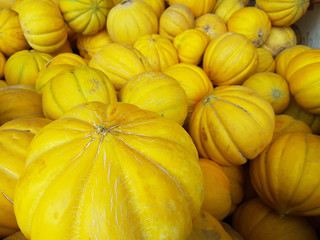 melons yellow many pile fruit background