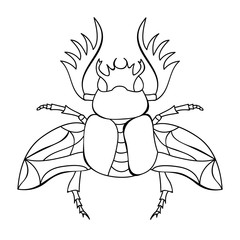 flying beetle, coloring book