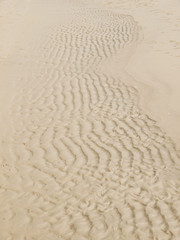 Obraz premium Sand Texture. Brown sand. Background from fine sand. Sand background