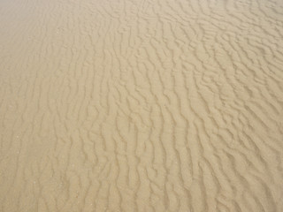 Fototapeta na wymiar sand beach texture wave pattern