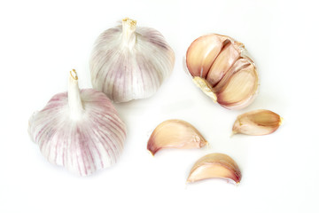 Fresh garlics with white background.