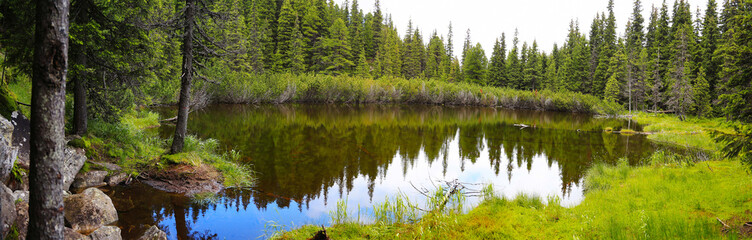Fototapeta na wymiar Mountain forest lake