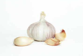 Fresh garlics with white background.