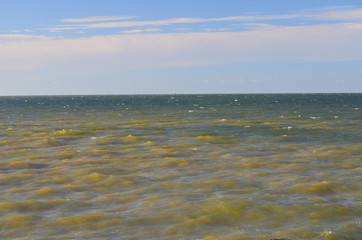 Sinice w Morzu Bałtyckim latem, Pomorze/Cyanobacteria in The Baltic Sea by summer time, Pomerania,...