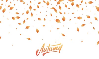 Autumn leaves background. Fall leaves frame, overlay, banner design