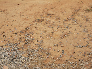 Red Dirt Road texture