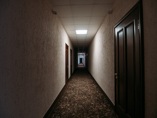Empty dark corridor in apartment building, doors, lighting lamps