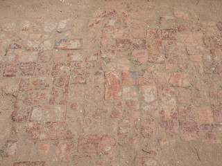 Brick pavement blocks with grass