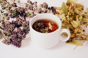 Cup of herbal tea and herbs on a light background.