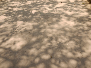 red dirt floor with tree shadow