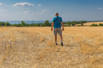 Naklejka na ściany i meble Mature hiker heading for Dnipro river through harvested wheat field in Ukraine