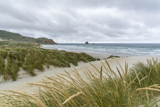 Sandfly Bay on a cloudy summer day. Dunedin district, Otago region, South Island, New Zealand.