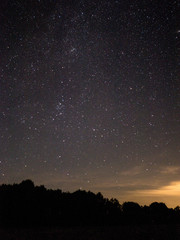 Fototapeta premium nacht