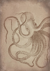 Old vintage grunge paper Octopus background - Historisches Papier mit Kraken Motiv